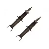 Par Amortiguadores Delanteros Para Dodge Ram 1500 2006 2008 4x4