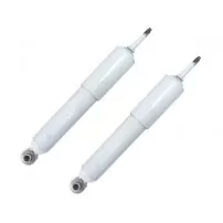 Par Amortiguadores Delanteros Para Dodge Ram 1500 1994 2002 4x2