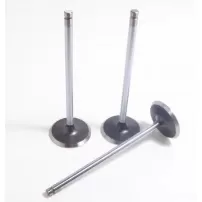 Valvula Admision Para Chevrolet Apache S10