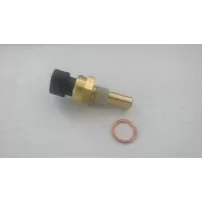 Sensores De Temperatura Para FORD F150