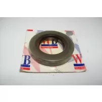 Reten Para Ford F100