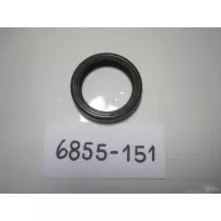 Reten Para Ford F100