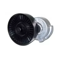 Tensor De Correa Para Dodge Caravan