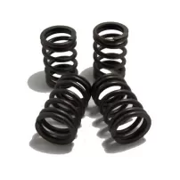 Resorte De Valvula Para Ford F100