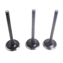 Valvula Admision Para Chevrolet Luv