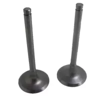 Valvula Admision Para Chevrolet Luv