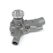 Bomba De Agua Para Chevrolet C20 1965-1974 C20