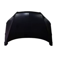 Capot Para Chevrolet Aveo 2009-2016 1.4 Hb F14d3