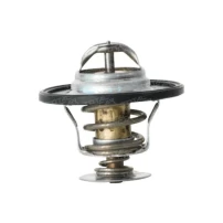 Termostato Para Chevrolet Captiva 2012 2018 2.2 Lnq