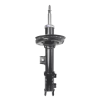 Amortiguador Para Hyundai Elantra 2011 2015 1.6 G4fg