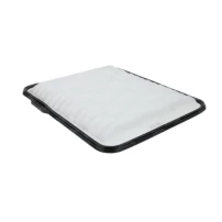 Filtro De Aire Para Chevrolet Equinox 2005-2009 3.4 Lnj