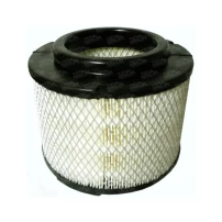 Filtro De Aire Para Toyota Fortuner 2006-2007 3.0 1kdftv
