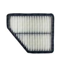 Filtro De Aire Para Hyundai Genesis 2009-2017 3.8 G6da 6 Cil