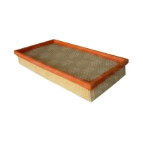 Filtro De Aire Para Mazda Cx9 2007-2009 3.5 Ca1