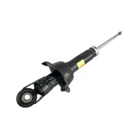 Amortiguador Trasero Derecho E Izquierdo Para Great Wall Haval-h6 1.5 4g15