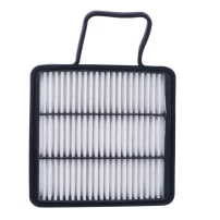 Filtro De Aire Para Great Wall Haval5 2014-2017 2.4 Gwd4d2