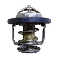 Termostato Para Great Wall Wingle5 2011 2016 2.2  491qe