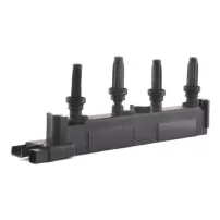 Bobina Para Peugeot 307 2.0 Ew10 2002 2010