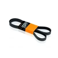 Correa Alternador Tipo 6pk-1249