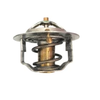 Termostato Para Great Wall Haval-h3
