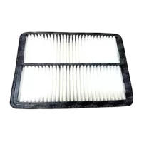 Filtro De Polen Para Great Wall Haval5