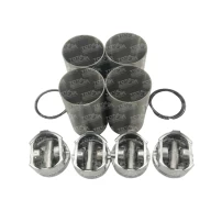 Piston Std Para Great Wall Haval5