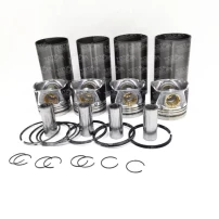 Piston Std Para Great Wall Hover