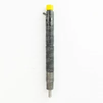 Inyector Para Great Wall Poer