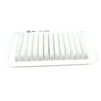 Filtro De Polen Para Great Wall Voleex-c30