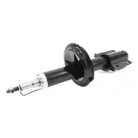 Amortiguador Del Para Peugeot Boxer 2.0 4 Cil 2002 2008 Par