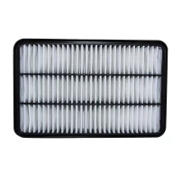 Filtro De Aire Para Chevrolet Luv 2000-2005 2200 C22ne Tfr