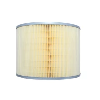 Filtro De Aire Para Toyota Hilux 1998-2006 2400 2rz-fe Rzn148