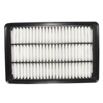 Filtro De Aire Para Hyundai Santa Fe 2006-2010 2200 Cm