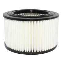 Filtro De Aire Para Kia Besta 2.7 1998-2003 Rs Pregio