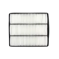 Filtro De Aire Para Hyundai Terracan 2002-2007 2900 J3 Hp