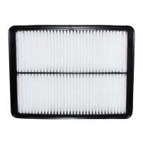 Filtro De Aire Para Kia Sorento 2010-2014 Ii 2400 Xm