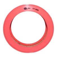 Filtro De Aire Para Nissan Sentra 1988-1992 1600 E16 B12