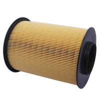 Filtro De Aire Para Ford Focus 2012-2016 2000 122 St