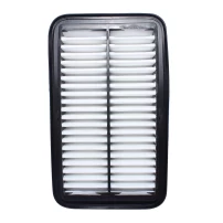 Filtro De Aire Para Suzuki Celerio 2009-2010 1000 K10b Amf310
