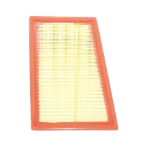 Filtro De Aire Para Renault Kangoo 2012-2018 1500 K9k Sohc