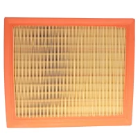 Filtro De Aire Para Citroen Berlingo 2016-2018 1600 Dv6dt B9