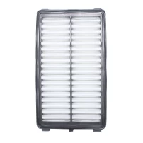 Filtro De Aire Para Hyundai Tucson 2019-2022 2000 Tl G4na