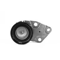 Rodamientos Tensor Correa De Distribución Para Chevrolet Aveo