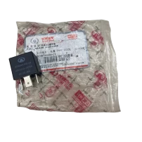 Relay Great Wall Hover 2.4 Para Great Wall Wingle5