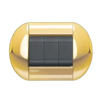 placa eliptica 3 modelo. terminacion oro bticino cod ref lnb4803oc