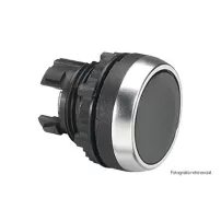 cabeza puls plana blanca legrand ref 024000