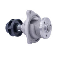 Bomba De Agua Para Ford Ka 2003-2007 1.6 Zetec Rocam