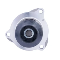 Bomba De Agua Para Ford Ka 2003 2007 1.6 Zetec Rocam