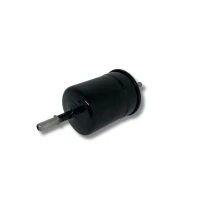 Filtro De Bencina Para Autorrad Century 2007-2011 2.2 491qe