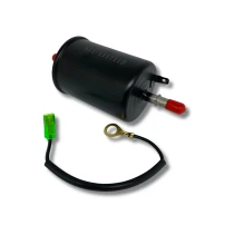 Filtro De Bencina Para Chery Arrizo 3 2016-2021 1.5